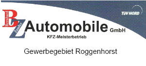 BZ Automobile: Ihre Autowerkstatt in Lübeck